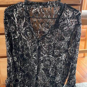 Sheer Sexy Black Blouse